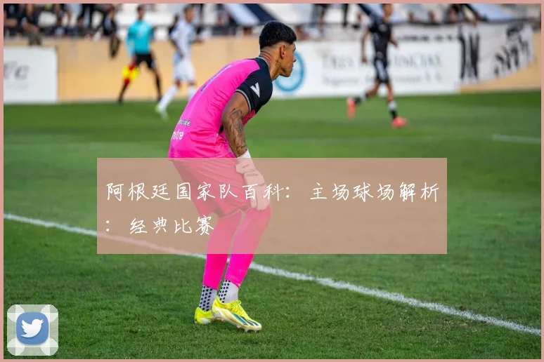 阿根廷国家队百科：主场球场解析：经典比赛